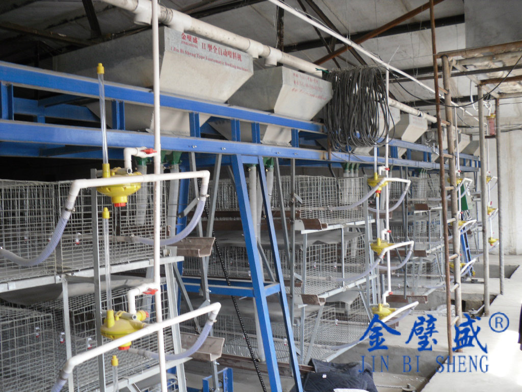 ���u�\�B(y��ng)ˮ��ι��