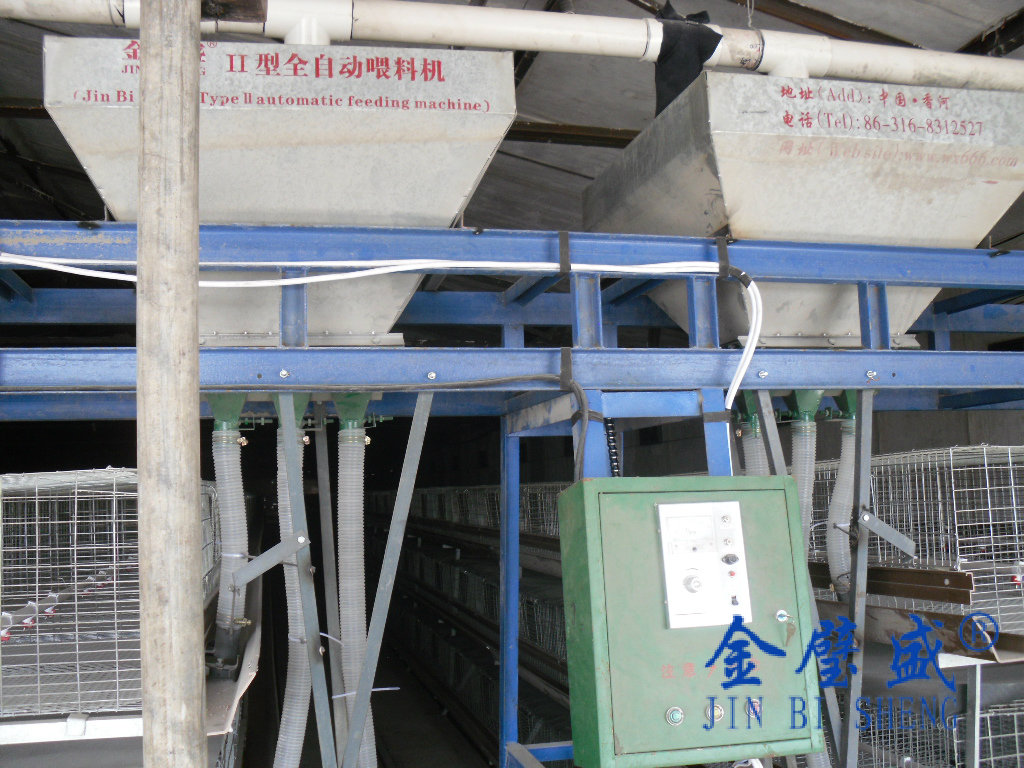 ���u�\�B(y��ng)ι��