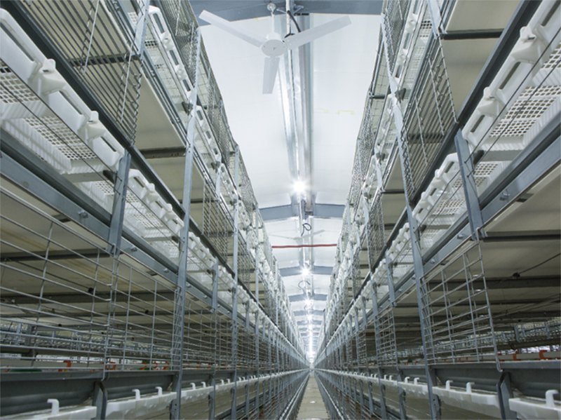 ȫ�Ԅ��B(y��ng)�u�O(sh��)��-���u