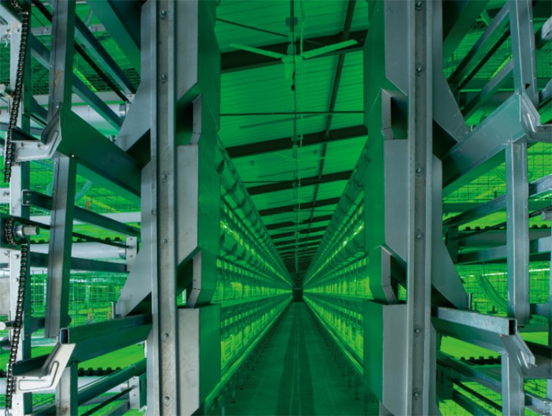 ȫ�Ԅ��B(y��ng)�u�O(sh��)��-���u