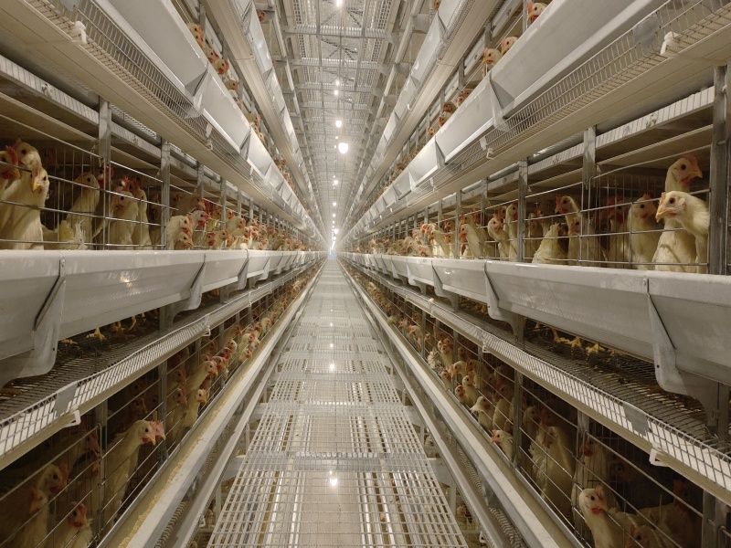 �ӯBʽ�B(y��ng)�u�O(sh��)��-���u