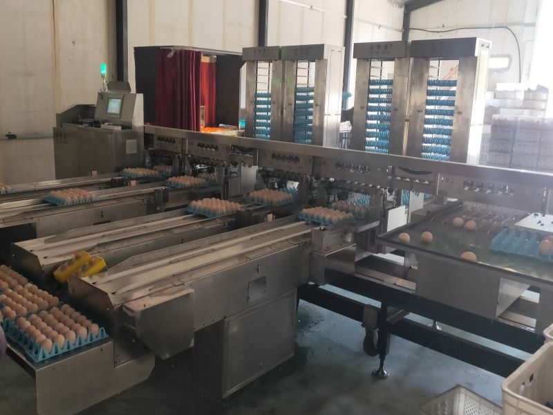 ��Ʒ�ּ��b�ЙC(j��)��ÿС